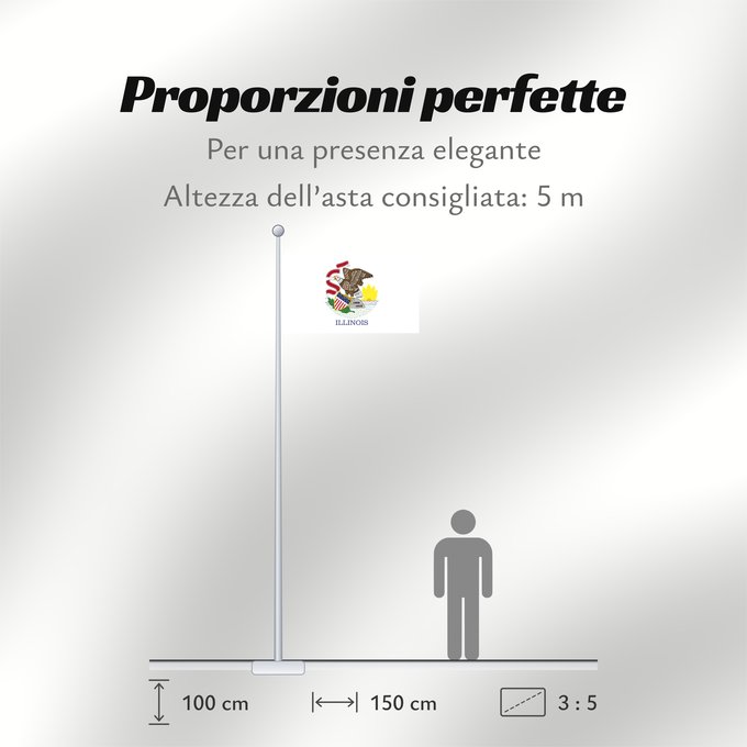 Proporzioni della bandiera: Illinois