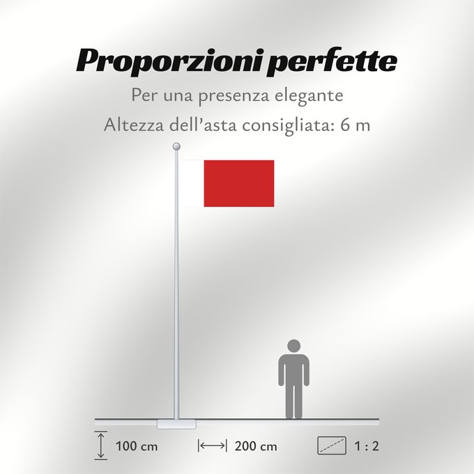 Proporzioni della bandiera: Dubai Dubaï