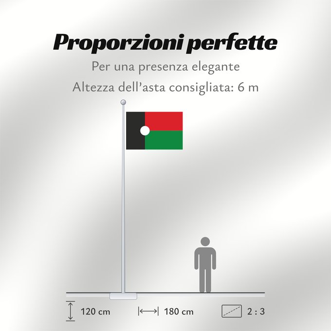 Proporzioni della bandiera: Partido Renovador Social	Social Renewal Party	Parti du Renouveau Social	Partido de Renovación Social	Partei der sozialen Erneuerung	Partito del Rinnovamento Sociale