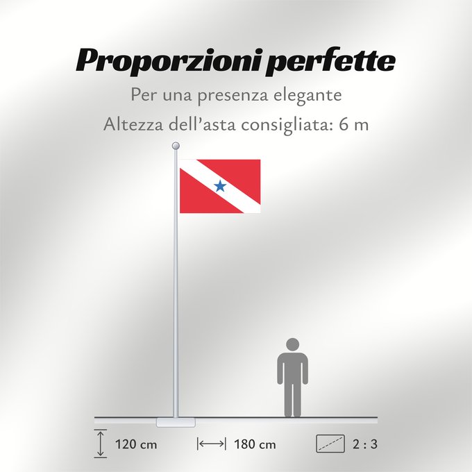 Proporzioni della bandiera: Pará