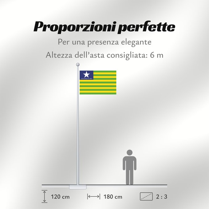 Proporzioni della bandiera: Piauí