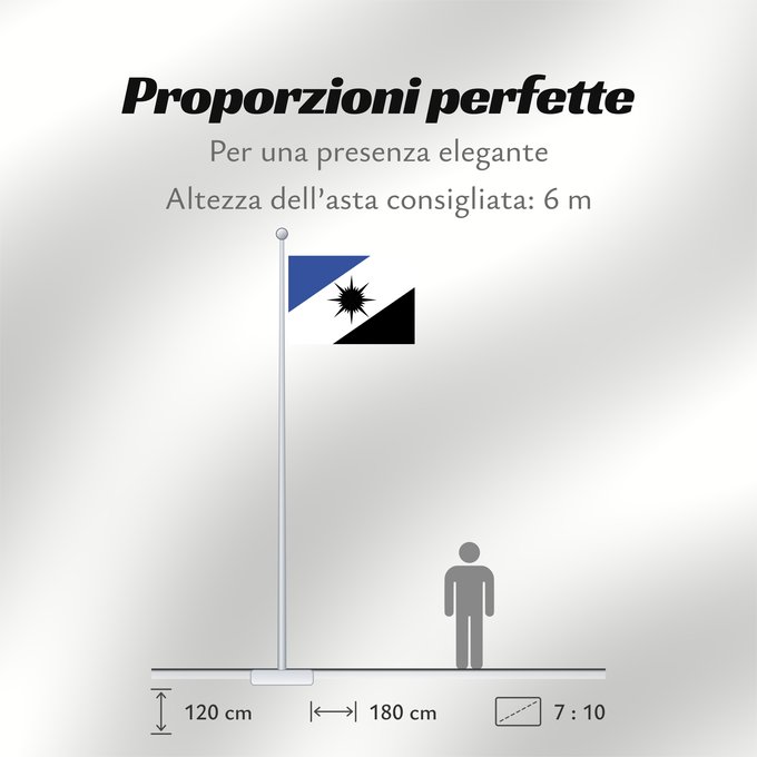 Proporzioni della bandiera: Tocantins State of Tocantins, Brazil Estado do Tocantins, Brasil