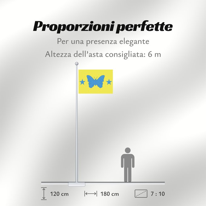Proporzioni della bandiera: BadyBassit SaoPaulo Brasil Bady Bassit Município de Bady Bassit no Estado de São Paulo