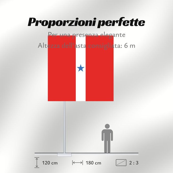 Proporzioni della bandiera: Pará  variante	Variante  maybe formal  flag of Pará	Pará (variante)	Pará (Variante)	Possível versão original da bandeira do Pará e do Clube Republicano Paraense