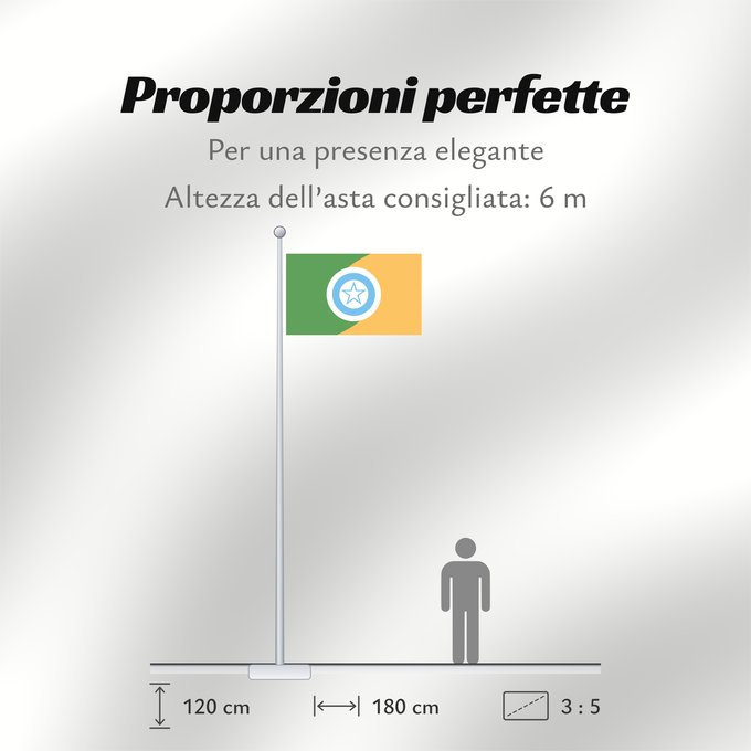 Proporzioni della bandiera: RolimdeMoura Rondonia Brasil	Rolim de Moura	Município de Rolim de Moura no Estado de Rondônia