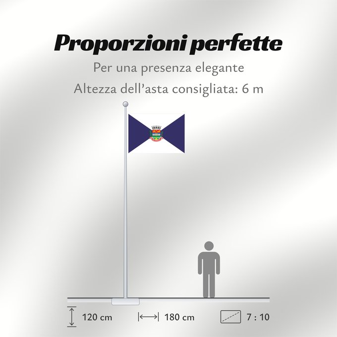 Proporzioni della bandiera: São Gonçalo	São Gonçalo, RJ, Brazil