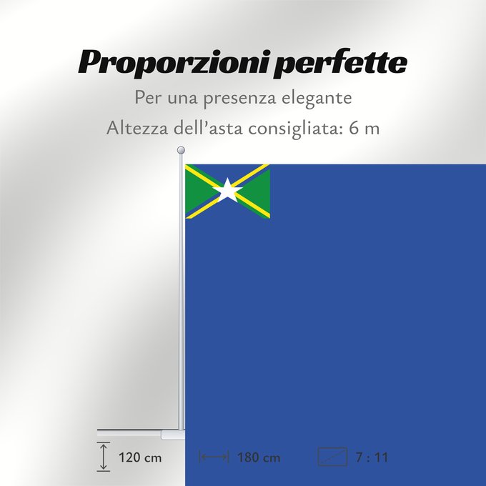 Proporzioni della bandiera: Vale do Anari	City of Vale do Anari, Rondônia, Brazil