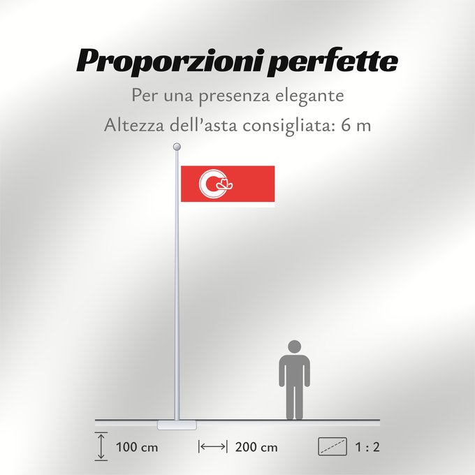 Proporzioni della bandiera: Calgary, Alberta	Calgary