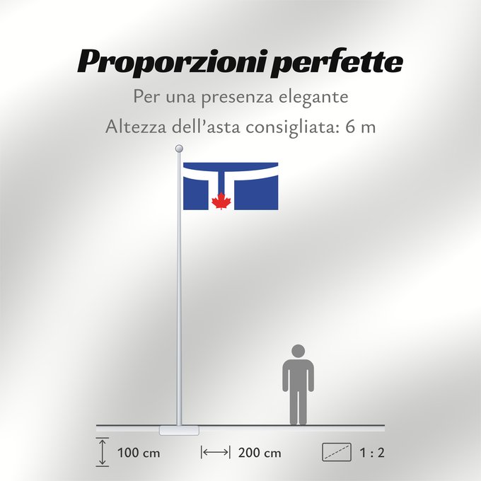 Proporzioni della bandiera: Toronto	Toronto, Ontario