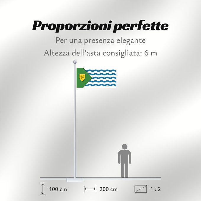 Proporzioni della bandiera: Vancouver Canada