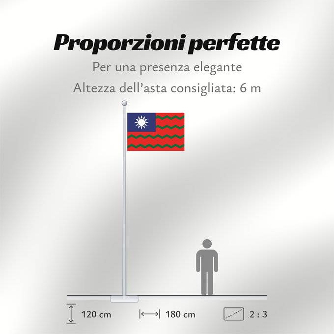Proporzioni della bandiera: Taiwan customs office