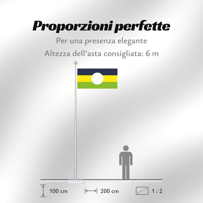 Proporzioni della bandiera: Caldono  Cauca	Caldono	Municipio de Caldono  Cauca