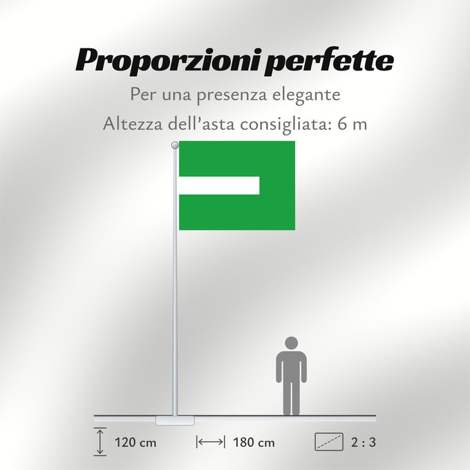 Proporzioni della bandiera: Charta Santander Charta (Santander) Municipio de Charta Santander