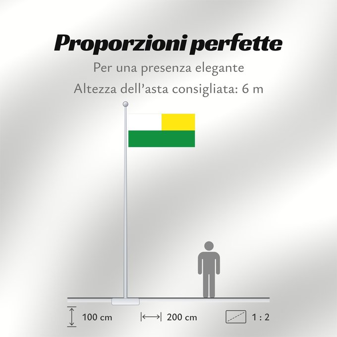 Proporzioni della bandiera: El Espinal Tolima El Espinal (Tolima) Municipio de El Espinal Tolima