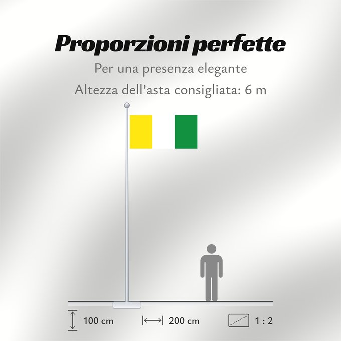 Proporzioni della bandiera: Morales Cauca Morales (Cauca) Municipio de Morales Cauca