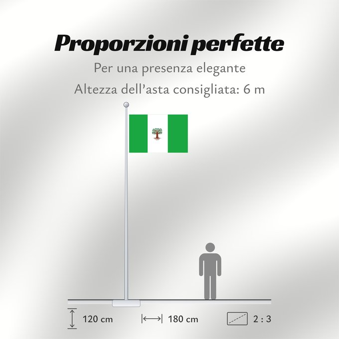 Proporzioni della bandiera: Pachavita Municipio de Pachavita