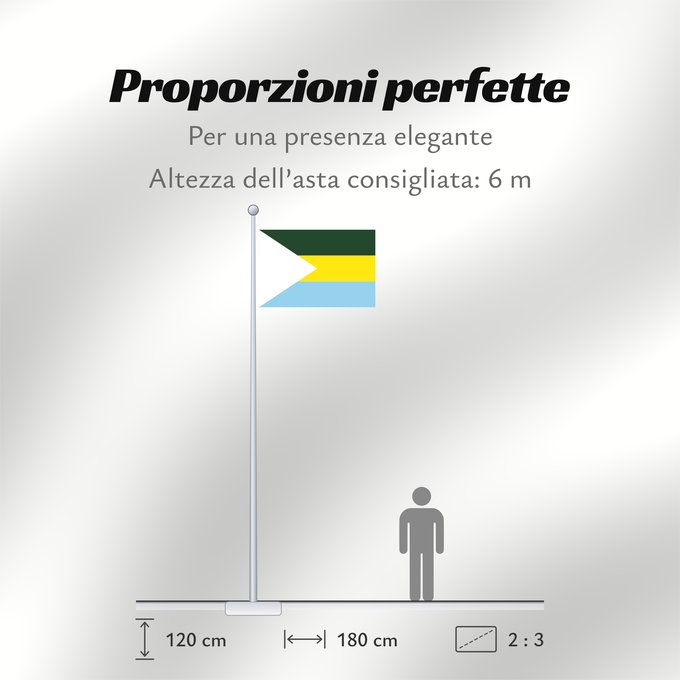 Proporzioni della bandiera: San Jacinto del Cauca  Bolívar	San Jacinto del Cauca	Municipio de San Jacinto del Cauca  Bolívar