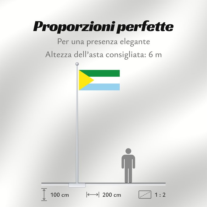 Proporzioni della bandiera: San Vicente de Caguán  Caquetá	San Vicente de Caguán	Municipio de San Vicente del Caguán  Caquetá