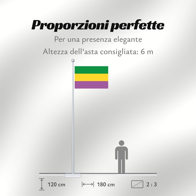 Proporzioni della bandiera: Tarquí  Huila	Tarquí (Huila)	Municipio de Tarquí  Huila