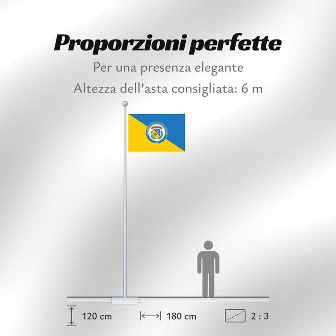 Proporzioni della bandiera: Universidad Militar Nueva Granada