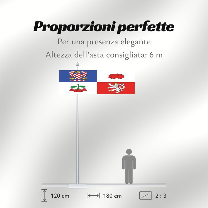 Proporzioni della bandiera: Vysocina Region Vysočina Region Région de Vysočina Región de Vysočina Region Vysočina
