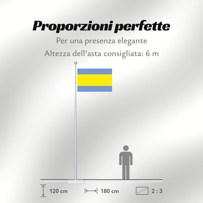 Proporzioni della bandiera: Dacice