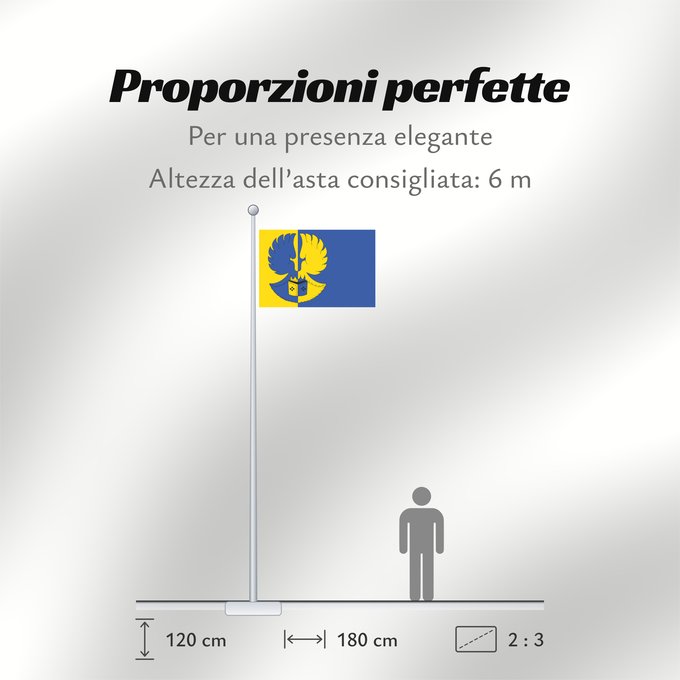 Proporzioni della bandiera: Dolní Vilémovice TR Municipal flag of cs Dolní Vilémovice village