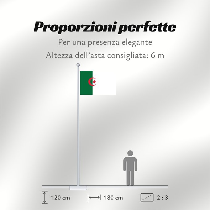 Proporzioni della bandiera: Variant flag of the GPRA 1962 Used by the GPRA