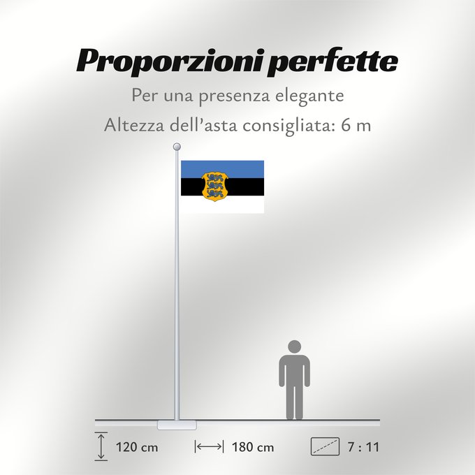 Proporzioni della bandiera: Estonia - Minister of Defence Estonian Minister of Defence Ministre de la Défense de l'Estonie Ministro de Defensa de Estonia Verteidigungsminister von Estland Ministro della Difesa dell'Estonia Kaitseministri lipp