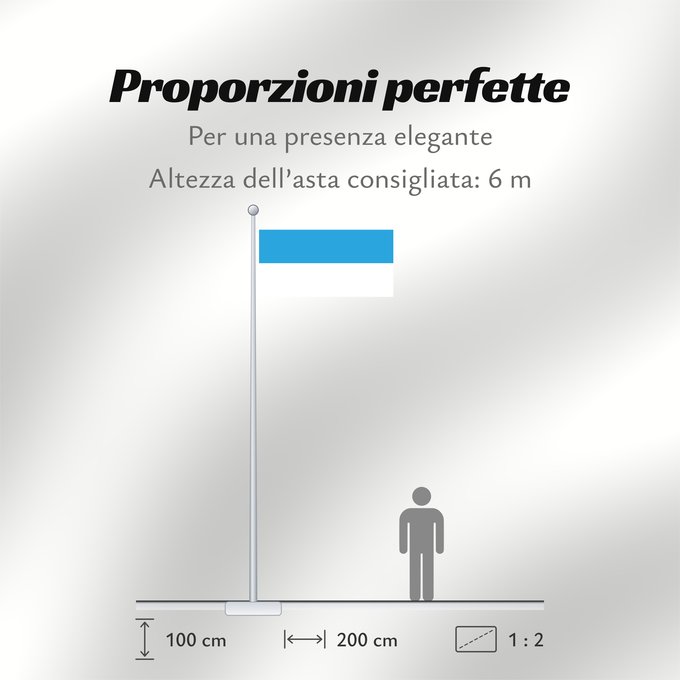 Proporzioni della bandiera: Et-Viljandi	Viljandi