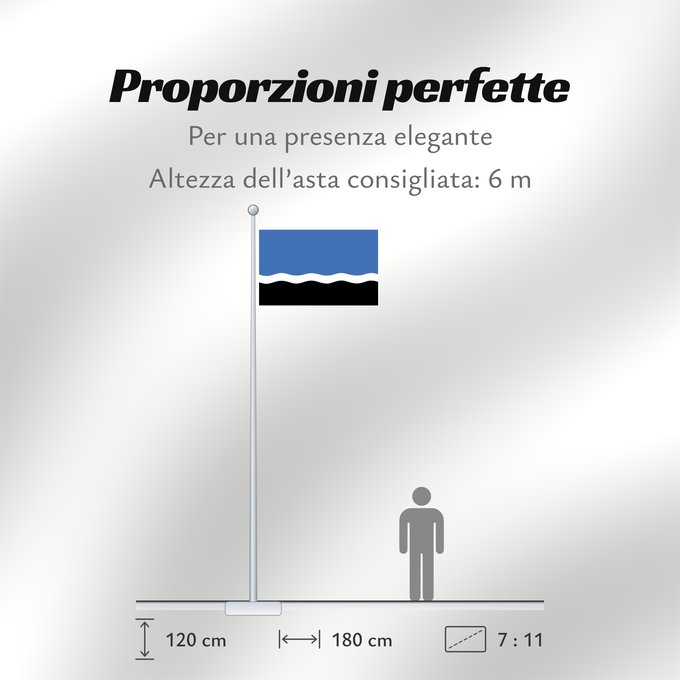 Proporzioni della bandiera: Mustvee	Former Mustvee rural municipality  until 2017	Ancienne municipalité rurale de Mustvee (jusqu'en 2017)	Antiguo municipio rural de Mustvee (hasta 2017)	Ehemalige Landgemeinde Mustvee (bis 2017)	Ex comune rurale di Mustvee (fino al 2017)	Mustvee lipp