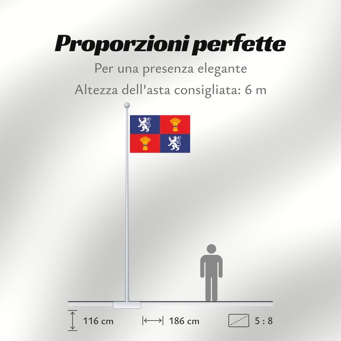 Proporzioni della bandiera: Gascogne	French province of Gascogne	Armorié de Gascogne	Las armas de Gasconha