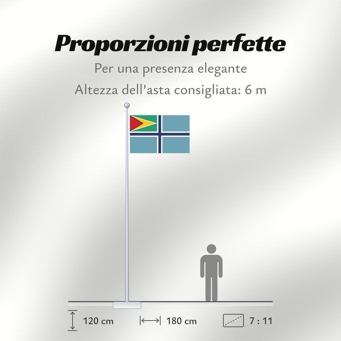 Proporzioni della bandiera: Civil Air Ensign of Guyana