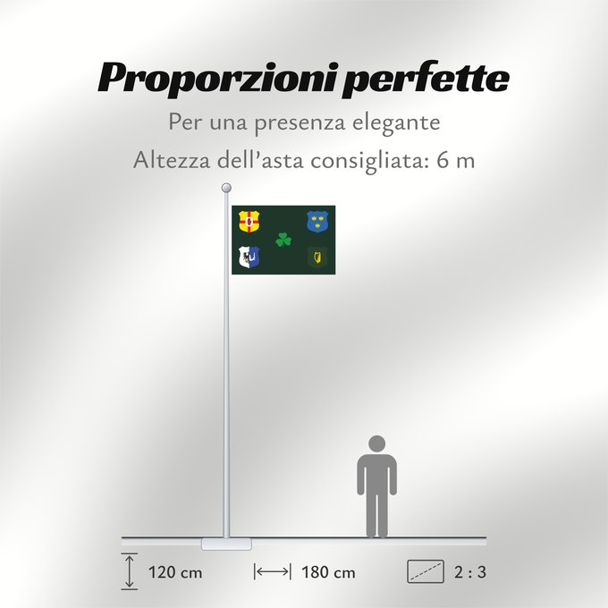 Proporzioni della bandiera: Ireland Rugby