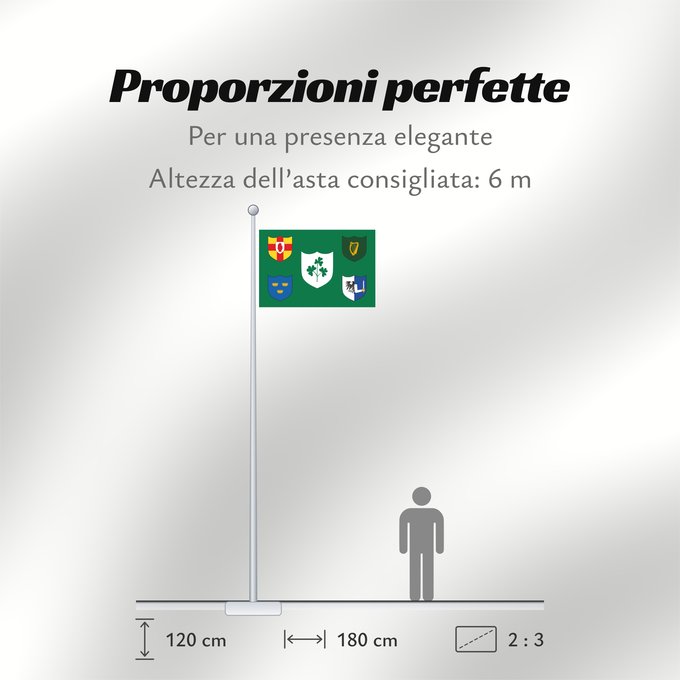 Proporzioni della bandiera: IRFU IRFU flag first made public in 1925, comprised of the traditional four provinces of Ireland shields and other older elements