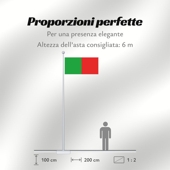 Proporzioni della bandiera: County Mayo	Comté de Mayo	Condado de Mayo	Contea di Mayo