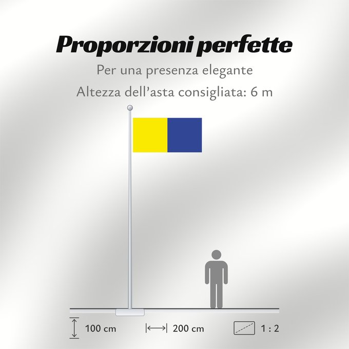 Proporzioni della bandiera: County Roscommon Comté de Roscommon Condado de Roscommon Contea di Roscommon