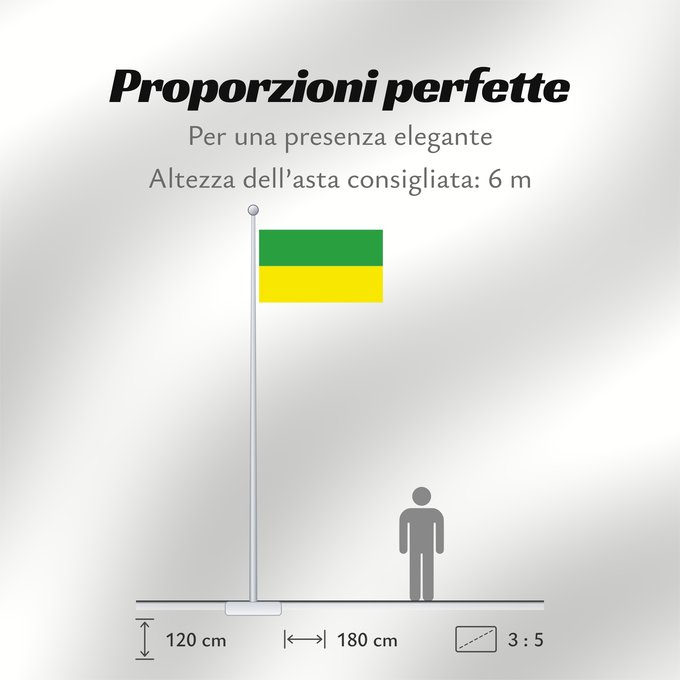 Proporzioni della bandiera: D Haryana	Haryana