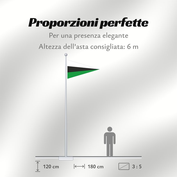 Proporzioni della bandiera: Mudhol