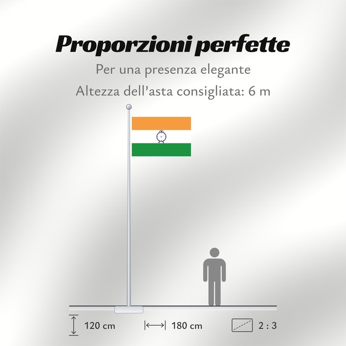 Proporzioni della bandiera: NCP