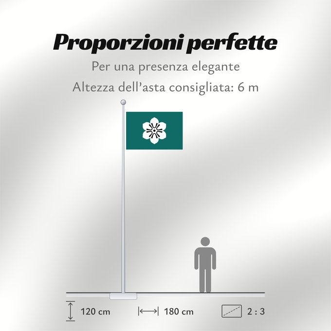 Proporzioni della bandiera: Saga Prefecture Saga Prefecture, Japan saga saga Präfektur Saga