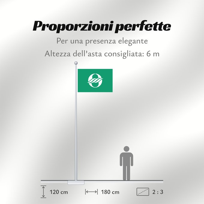 Proporzioni della bandiera: Nagahama, Shiga  variant	Nagahama, Shiga  Green background variant	Nagahama, Shiga (variante fond vert)	Nagahama, Shiga (variante de fondo verde)	Nagahama, Shiga (Grüner Hintergrund-Variante)	Nagahama, Shiga (variante sfondo verde)	長浜市旗 緑地