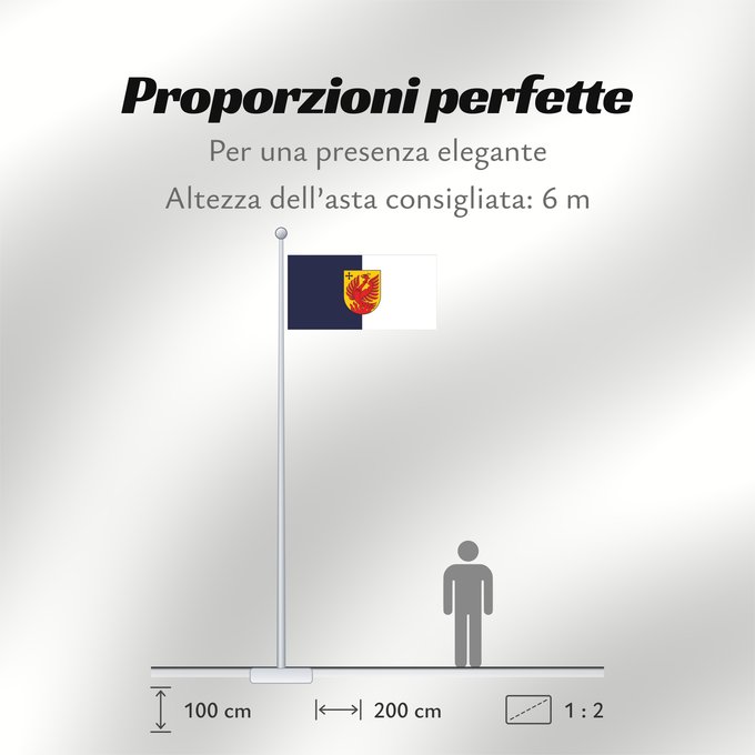 Proporzioni della bandiera: Dagda