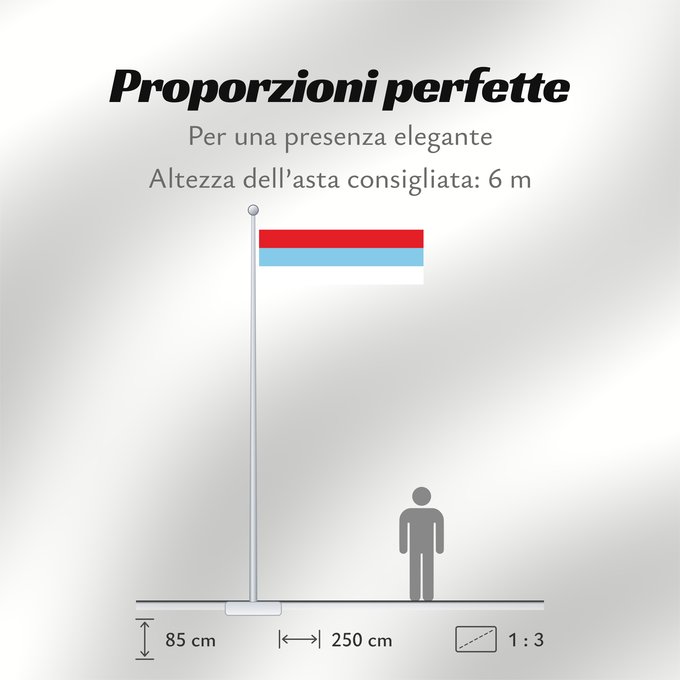 Proporzioni della bandiera: Montenegro 1993-2004 Montenegro between 1993 and 2004 Crne Gore 1993-2004