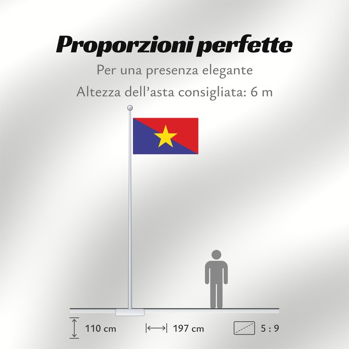 Proporzioni della bandiera: Mm army 2