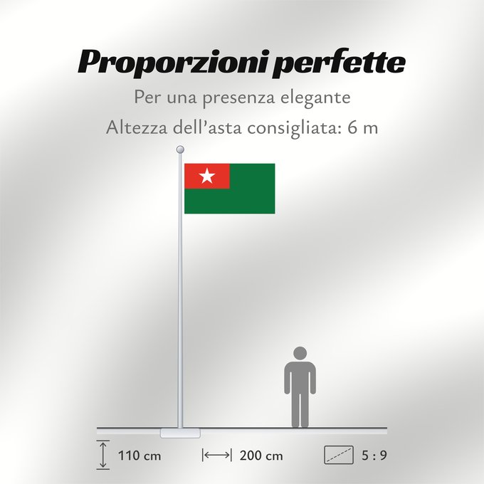Proporzioni della bandiera: Union Solidarity and Development Association