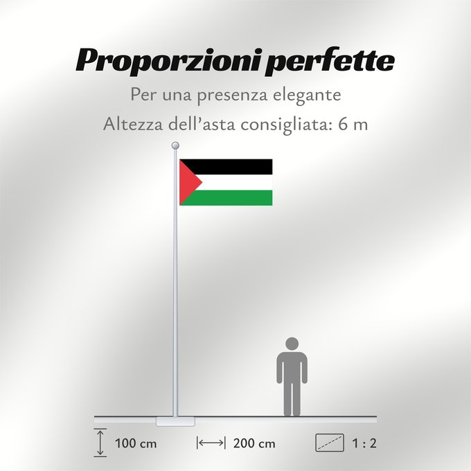 Proporzioni della bandiera: Palestine - short triangle A variant of the flag of Palestine used in different periods of its history Palestine (variante triangle court) Palestina (variante triángulo corto) Palästina (kurze Dreiecksvariante) Palestina (variante triangolo corto)