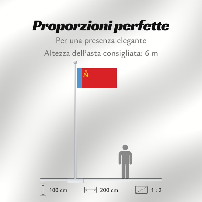 Proporzioni della bandiera: Russian SFSR	Russian Soviet Federative Socialist Republic	RSFSR, 1954-1991	RSSF Russa, 1954-1991	VNFSV lipp, 1954-1991 aa	VSFNT lippu, 1954-1991	KPFSR karogs, 1954.-1991. gada