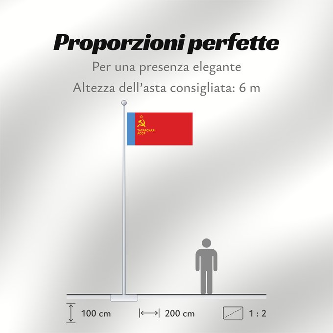 Proporzioni della bandiera: Tatar ASSR	Tatar ASSR, used 1981-1990	ASSR du Tatarstan (1981-1990)	ASSR de Tartaristán (1981-1990)	Tatar ASSR (1981-1990)	ASSR tatara (1981-1990)	Tatarien ASNT n	Флаг ТАССР утверждено 1 июня 1981 года  смотри флаги Татарии	Татар АССР байрагы	Прапор Татар
