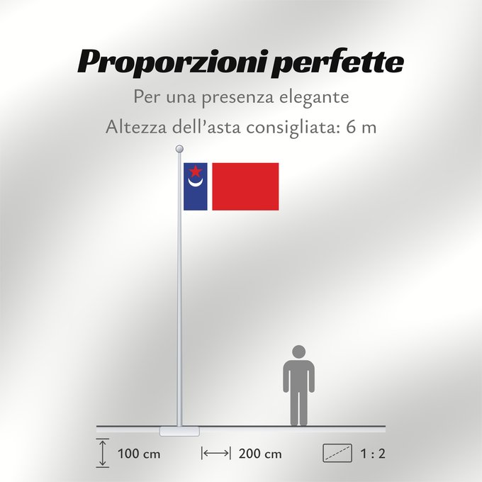 Proporzioni della bandiera: Tatarstan 1991 proposal	1991 proposal for the flag of Tatarstan by T	Tatarstan (proposition de 1991)	Tatarstán (propuesta de 1991)	Tatarstan (1991 Entwurf)	Tatarstan (proposta 1991)	Предложенный в 1991 году Т
